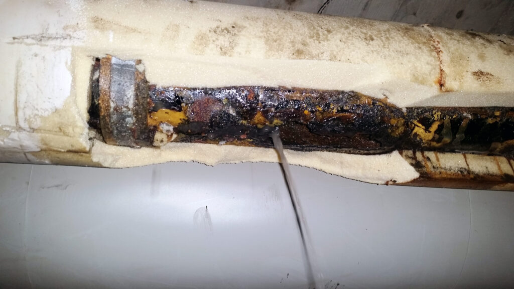 Im abwechslungsreichen Alltag von RohrMax gibt es durchaus öfters Fundstücke, die nicht allein die...